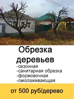 Обрезка деревьев