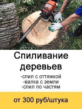 Спиливание спиливание деревьев от 300 руб